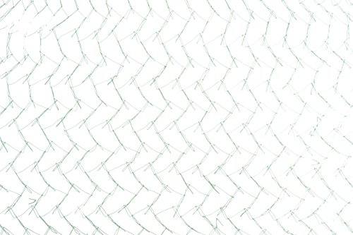 Windhager 06005 Vogelschutz-Netz Rational 8 x 8m - 2