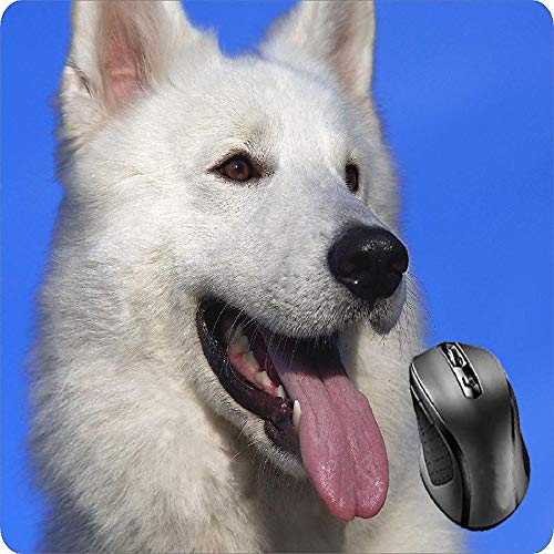 Preisvergleich Produktbild BGLKCS