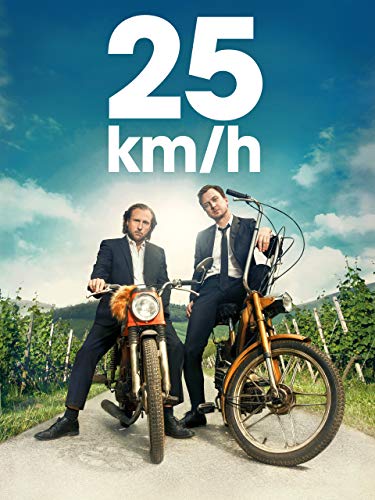 25 km/h
