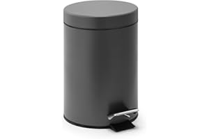 Linsar - Mülleimer - Edelstahl Mini Badezimmer Mülleimer mit Absenkmechanismus, Leise WC Hygiene Mülleimer mit Deckel, Klein Toilette Kosmetikmülleimer mit Schwingdeckel (Grau)