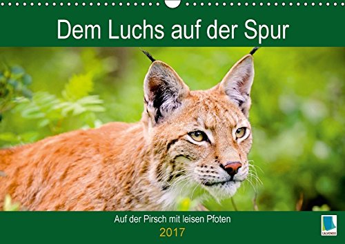 Dem Luchs auf der Spur (Wandkalender 2017 DIN A3 quer): Auf der Pirsch mit leisen Pfoten (Geburtstagskalender, 14 Seiten ) (CALVENDO Tiere)