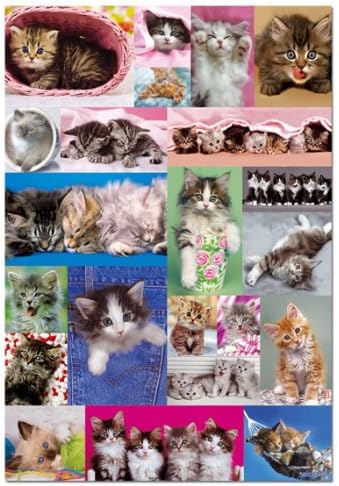 Educa 1,000-Pc. Kitten Collage Puzzle