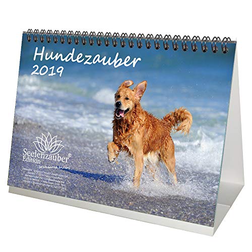 Download Chien magique – DIN A5 – Premium Calendrier de bureau/calendrier 2019 · Chien Chiot – Animaux – Coffret cadeau avec 1 carte de vœux et 1 carte de Noël – Édition âme magique