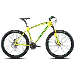 Vendita MTB online: prova le nostre bici