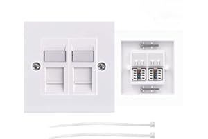 DEILONIE Ethernet Wall Socket, 1 Pack CAT6 Socket Faceplate, Double Port RJ45 Socket Wall Plate, Ethernet Plug Wall Socket, Ethernet Socket Wall Box with Network Jack Modular (White)