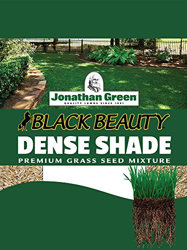 Jonathan Green 10620 Dense Shade Grass Seed Mix, 7 Pounds