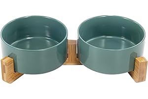 SPUNKYJUNKY Gamelle Double en Céramique avec Support en Bambou pour Chats et Chiens (850ml, Vert)