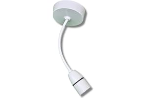 ''N/A'' Vintage lamp - Rose Light - Lamp Base - Plastic Lamp Hanging Light for Living Room, Dinning Room and Bedroom Ceiling Lights Home Décor- White (Pack of 1)