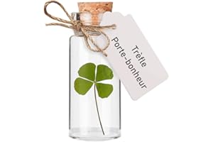 MISTER CURIOSITIES Trèfle à 4 feuilles porte-bonheur dans une fiole en verre pour porter chance, cadeau grigri pour célébrer amour, amitié ou pour un cabinet de curiosités