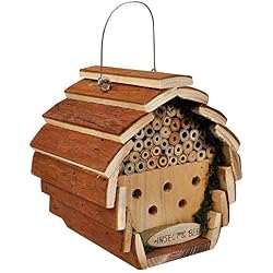 Kingfisher Maisonnette pour Abeilles et Insectes