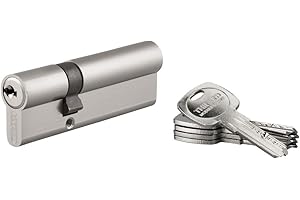 THIRARD - Cylindre de Serrure Double Entrée Trafic 6 - Nickel - Haute Sécurité - Anti-Arrachement, Anti-Perçage, Anti-Crochetage - 30 x 60 mm - 5 Clés Plates Réversibles