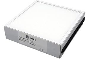 BRIZZ – Filtro compatible para purificador de aire ALDES InspirAir Home SC240 – Tipo de filtración: Bacterias