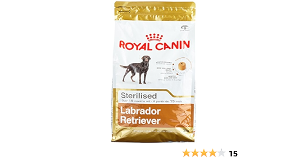amazon royal canin labrador