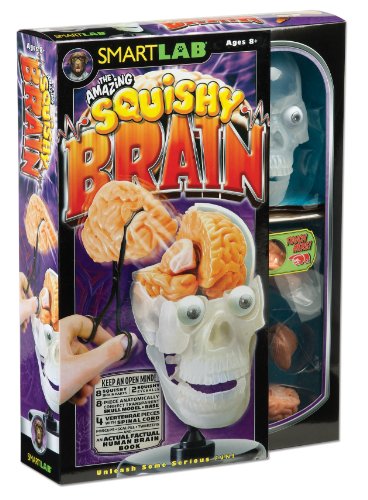 Preisvergleich Produktbild The Amazing Squishy Brain (SmartLAB)