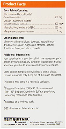 Cosequin-Ds-Chewables-Plus-Msm-60Ct