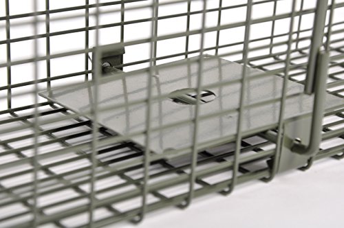 KrapTrap® Tierfalle Siebenschläferfalle Rattenfalle 60 x 17 x 17 cm - 4