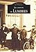 Lumbres (Le canton de)