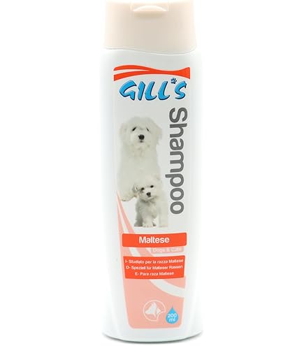 Cartello Attenti Ai Cani Adorabile Cartello Umoristico Bichon Maltese Viziato Fa La Guardia Attenti Ai Cani Cartello