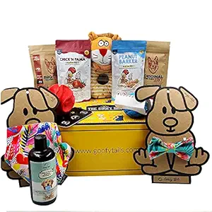 Goofy Tails Discovery Goofy Box for Dogs | Personalized Curated Gift Box for Dogs (Non-Veg, Small/Medium)