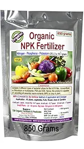 TSR Garden Store Organic NPK consortia Nitrogen Phosphorous Potassium 3in1 biofertilizer granules 850 Grams