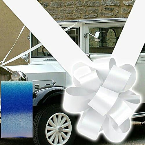 Wedding car Decoration 5 Large Bows and 8 Meters of Ribbon in Many Colours (Cyan Blue)