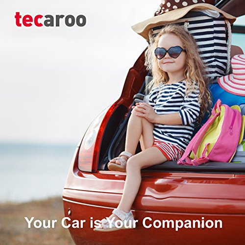 TECAROO 2er-Set Rücksitz Organizer / Rücksitztasche in schwarz mit 2 Jahren Zufriedenheitsgarantie – Auto Rücksitzschoner / Rücksitz-Organizer / Rückenlehnenschutz / Autositzschoner / Auto-Organizer / Auto Organizer / Sitztasche / Sitzlehnentasche / Auto-Sitztasche - 7