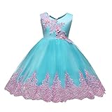 Kind Baby (12M-4J) Prinzessin Kleid, Quaan Mädchen Spitze Bowknot Hochzeit Performance Formal Tutu Beiläufig Retro Vorabend Party Abschlussball Swing Abendessen Geschenk Kleid Klassisch Mini Rock