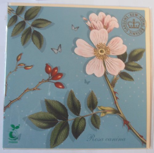 Royal Botanic Gardens Kew blank greetings card ROSA CANINA wild rose flower design 16cm square