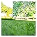 Produktbild 20mm Kunstrasen Mit Hoher Dichte, Optional In Mehreren Größen, Geeignet for Garten/Terrasse/Außenbereich/Fußmatte, Teppichboden/Hundehaustiermatte (Size : 1 * 1m)