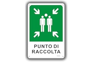 YUNTARDA Cartello Punto di Raccolta, 30X20cm Cartello di emergenza e sicurezza in alluminio metallo