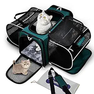 AutumnStory Cat Carrier, Pet Carrier Airline Approved, 2 Sides Expandable Dog Carrier, Soft-Sided Collapsible Dog Travel Bag with Removable Fleece Pad for Cats, Puppy and Small Animals (Green)