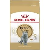 Royal Canin British Shorthair 2 Kg