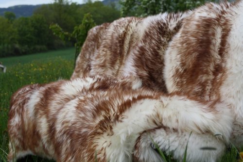 Lammfell Stracciatella 110 - 120 cm