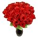 Produktbild Schramm® 24er Pack Hecken Rosen rot 26cm Kunstblumen Seidenblumen Rote Rose