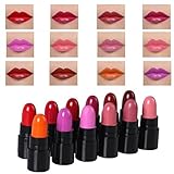 BESTIM INCUK Beauty Makeup 12 Colors Lipstick Set Moisten Long-lasting High Gloss Mini Lip Cream