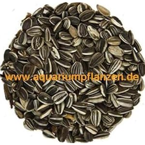 10 kg gestreifte Sonnenblumenkerne, Vogelfutter