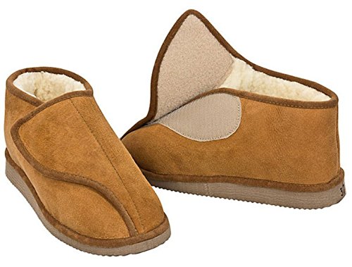 « Click to Enlarge and to go to Amazon »