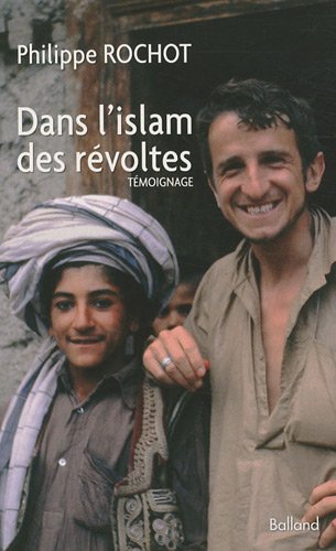 couverture de : Dans l'islam des r&eacute;voltes