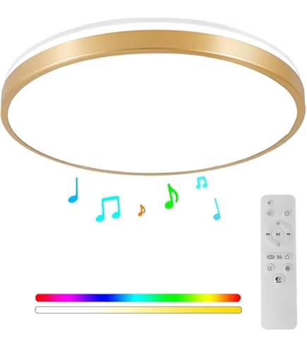 Led Plafondlamp Voor Badkamer Met Afstandsbediening, IP65, Diameter 28 Cm Dimbaar Licht Bluetooth Luidspreker Waterdichte Badkamerlamp E27 Schroefadapter Zwarte Keuken 1350236986