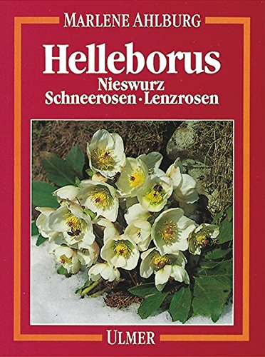 Download Helleborus. Nieswurz, Schneerosen, Lenzrosen Download Helleborus. Nieswurz, Schneerosen, Lenzrosen