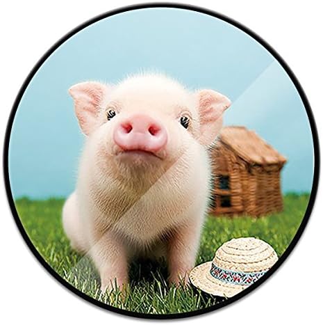 Expanding Stand and Grip for Phone Multifunction Phone Holder Stand Release Hands - Cute Pig