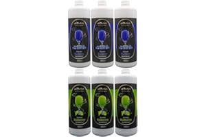 A. BECKER'S A. Becker´s Slush Eis Sirup | Ohne Azofarbstoffe | 2x 3L Waldmeister und Blaubeere | Vegan | 1L Slush Konzentrat ergibt 6L Eis | Getränkesirup für Zubereitung in Slush Maschine und Mixer