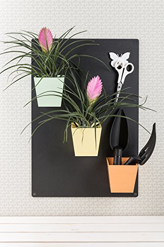 Sgaravatti KalaMitica, anthrazit Metallplatte, 56 x 38 cm - 3