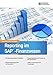 Reporting im SAP-Finanzwesen: Standardberichte, SAP QuickViewer und SAP Query by Martin Peto, Katrin Klewinghaus