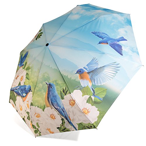 Preisvergleich Produktbild Regenschirm Automatik Taschenschirm Naturmotiv Kirschblüten und Finken - Rosemarie SCHULZ Regenschirme für Damen