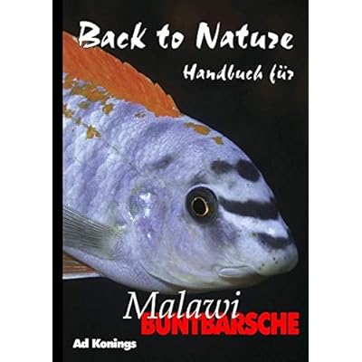 Holz Von Joachim Radkau Isbn 978 3 96238 068 7 Sachbuch Online