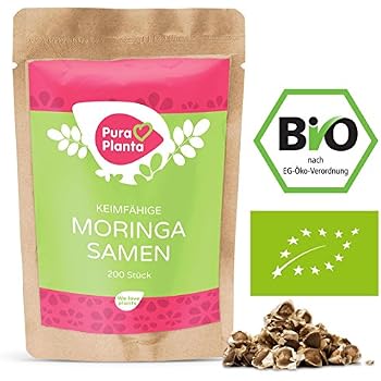 moringa,moringa oleifera,moringa beneficios,cha de moringa,moringa planta,moringa oleifera beneficios,beneficios da moringa,moringa para que serve,arvore da vida,folhas de moringa,moringa oleifera arvore,moringa planta medicinal,o que é moringa