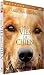 Mes Vies de Chien