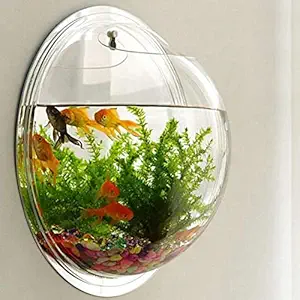 DDSS H. 15'' Base Dia Wall Mount Hanging Acrylic Wall Mount Hanging Fish Aquarium Bowl Tank for Small Betta Fish & Plants- Clear Transparent