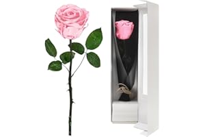 FARYODI Ewige Rose Rot mit Stiel - Echte konservierte Rose in Premium Geschenkbox, 3-5 Jahre haltbar,für Frau,Freundin,Oma,Valentinstag,Weihnachten,Muttertag,Geburtstag,Hochzeitstag,Jahrestag-Rosa